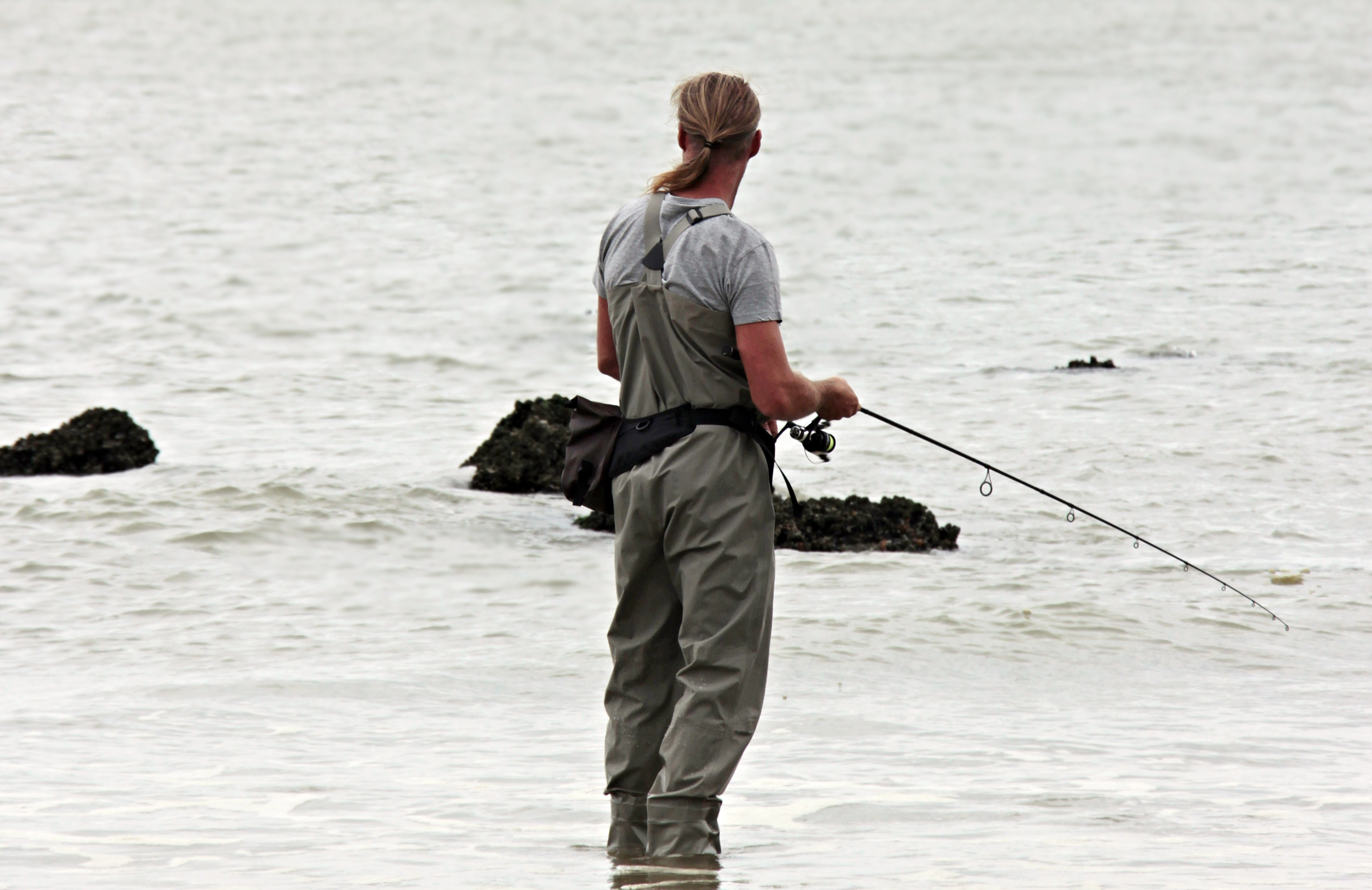 angler-3071970
